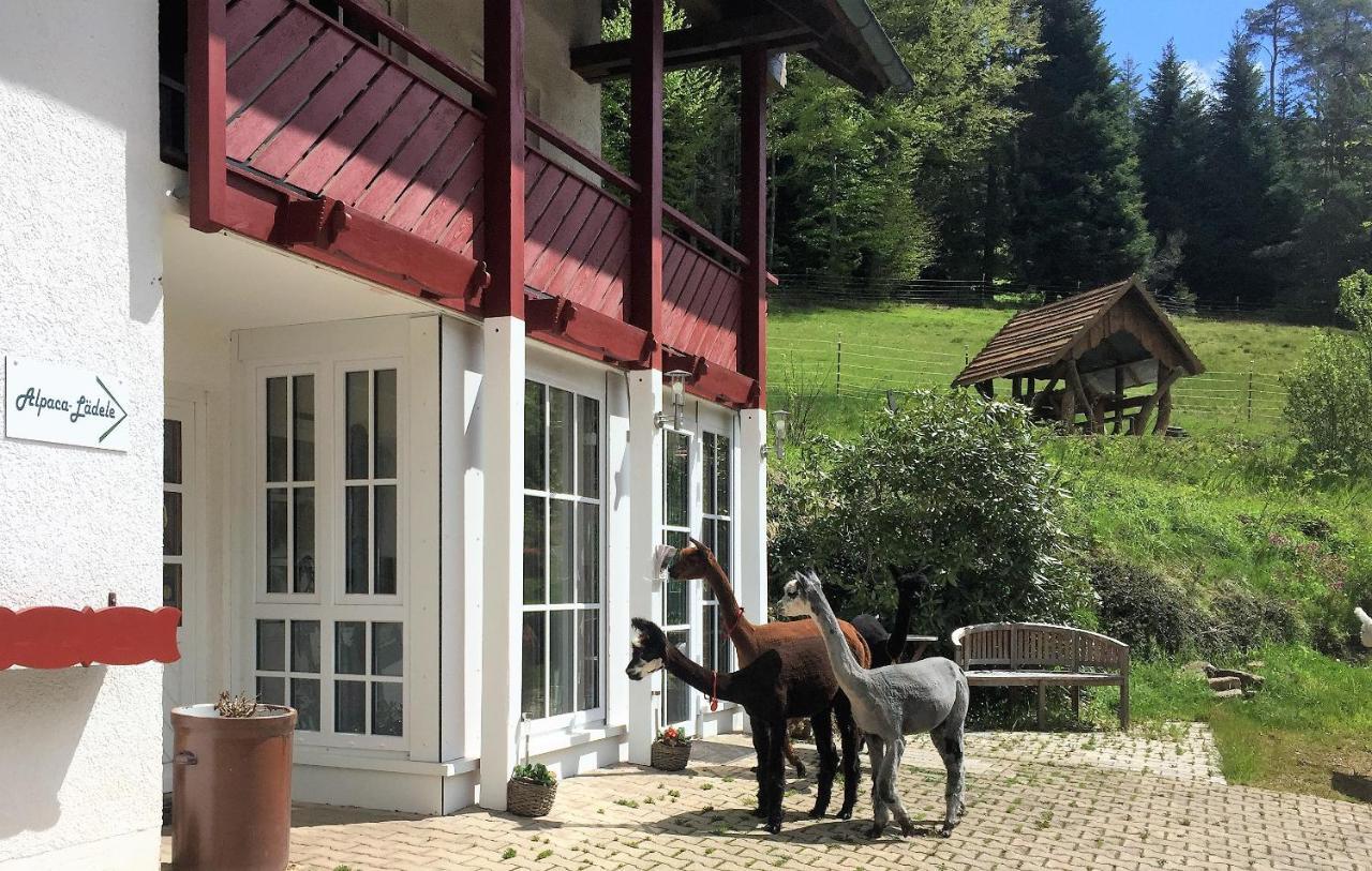 Apartment Alpaca-village *