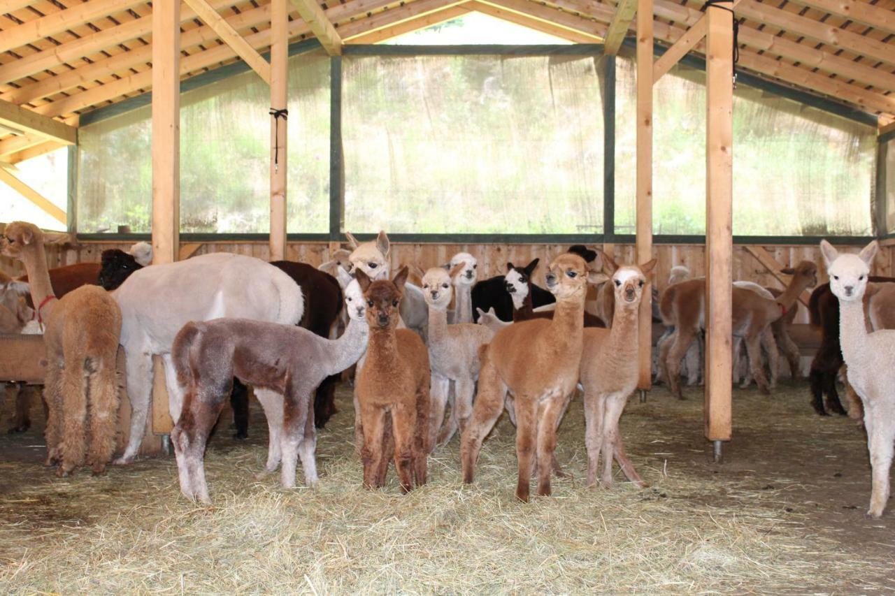 Apartment Alpaca-village *