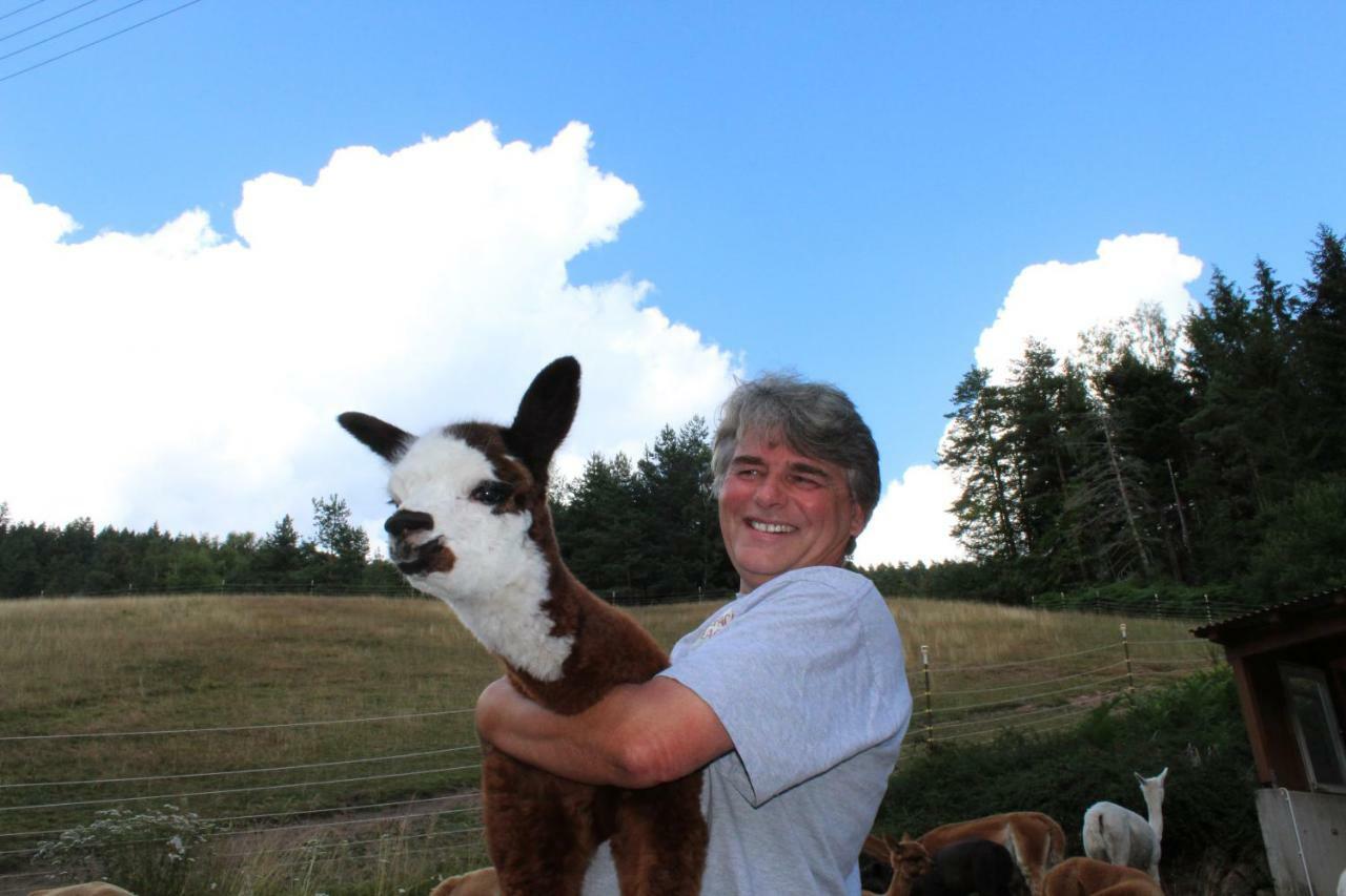 Alpaca-village