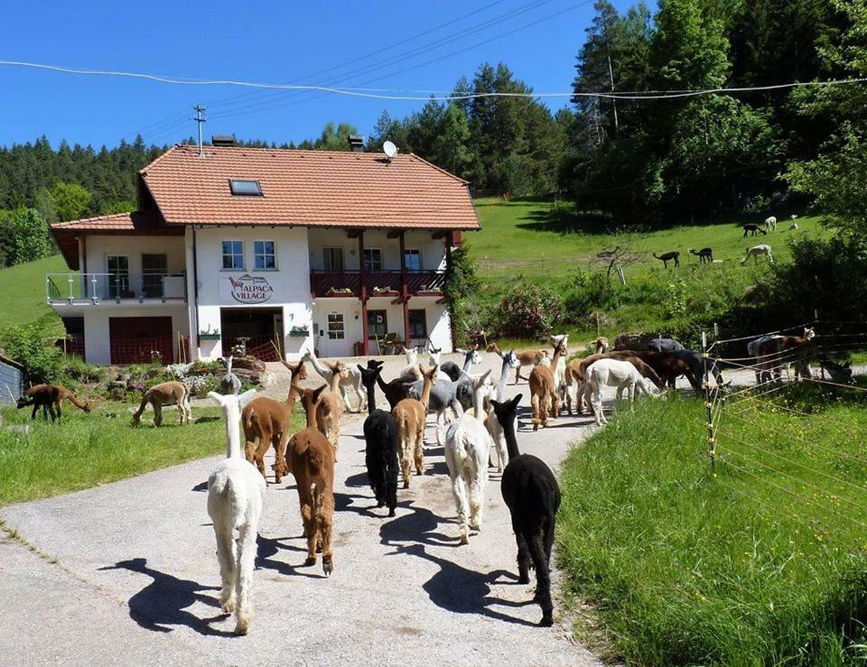 Apartment Alpaca-village *
