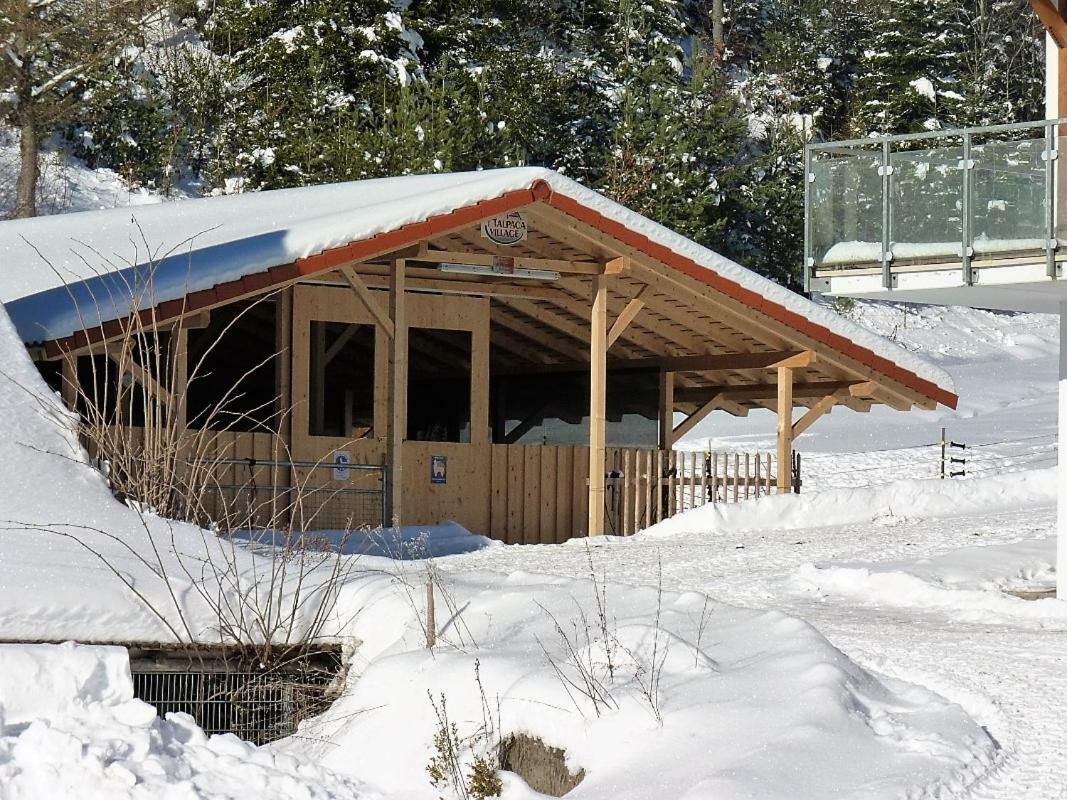 Alpaca-village Apartment