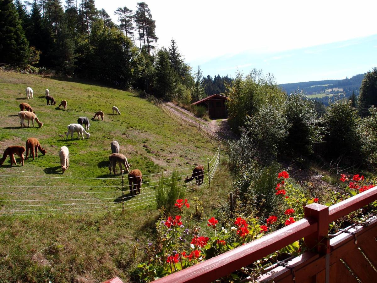 Apartment Alpaca-village *
